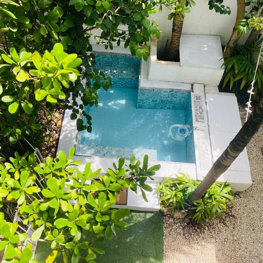 Cozy Tiny Studio Acasadialexplayadelcarmen Playa del Carmen Exterior foto