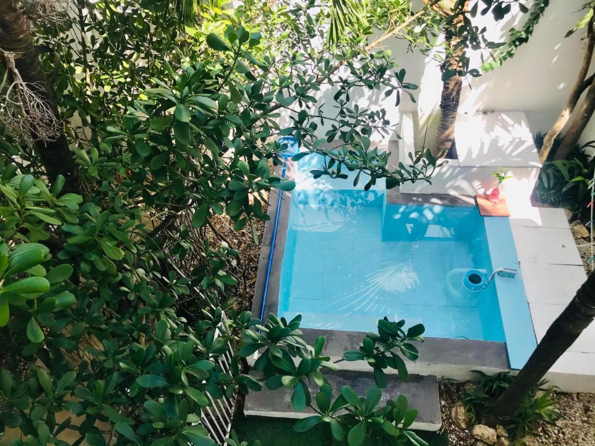 Cozy Tiny Studio Acasadialexplayadelcarmen Playa del Carmen Exterior foto